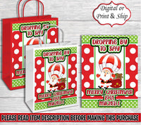 Santa Claus Gift Bag-Christmas Gift Bag Labels-Christmas Treat Bag-Christmas Favor Bag-Merry Christmas Gift Bag-Christmas Candy Bag